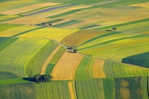 agricultural lawyer near wichita ks